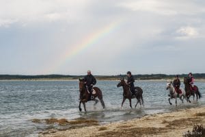 La Baie De Somme Un Petit Go T De Reviens Y Lovelivetravel Blog