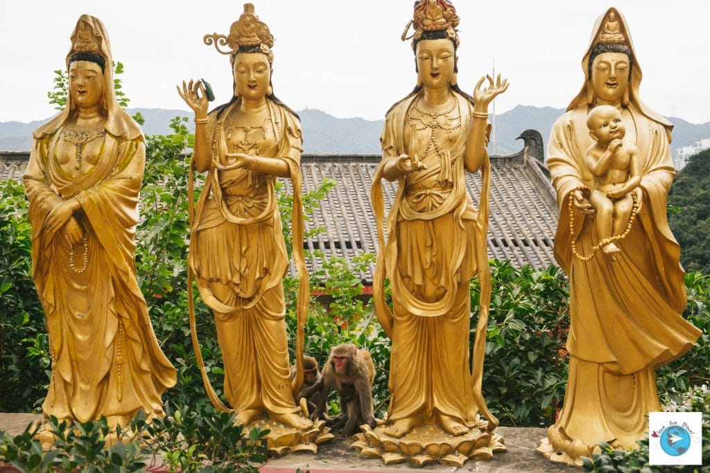 monastère 10000 bouddhas Hong-Kong blog voyage LoveLiveTravel