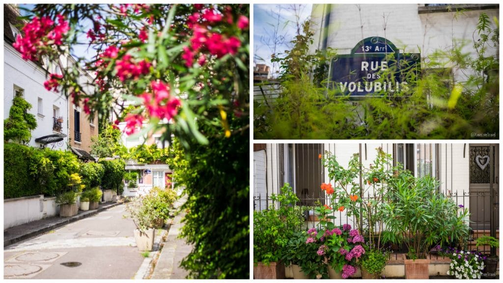Paris cité florale rues insolites secrètes cité figuier blog voyage LoveLiveTravel