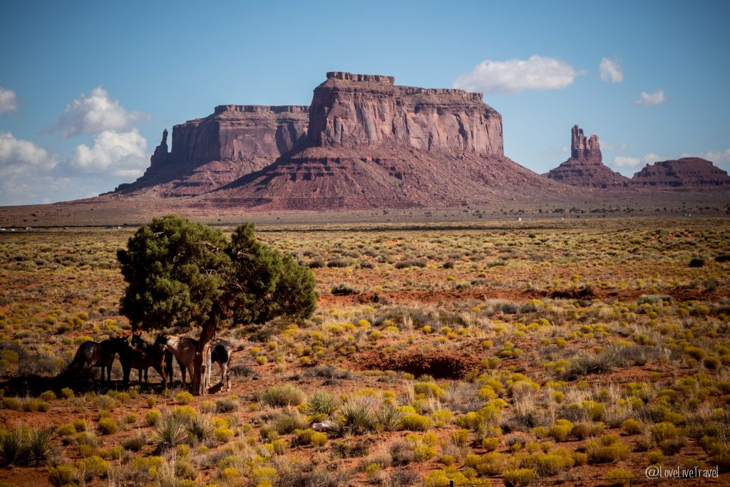Monument Valley Valley drive Road trip USA blog voyage LoveLiveTravel