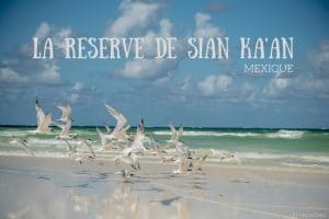 Réserve naturelle Sian Ka'an Tulum mexique blog voyage lovelivetravel