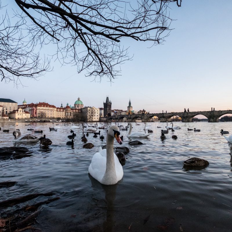 2 jours pour visiter Prague republique tcheque blog voyage et lifestyle lovelivetravel
