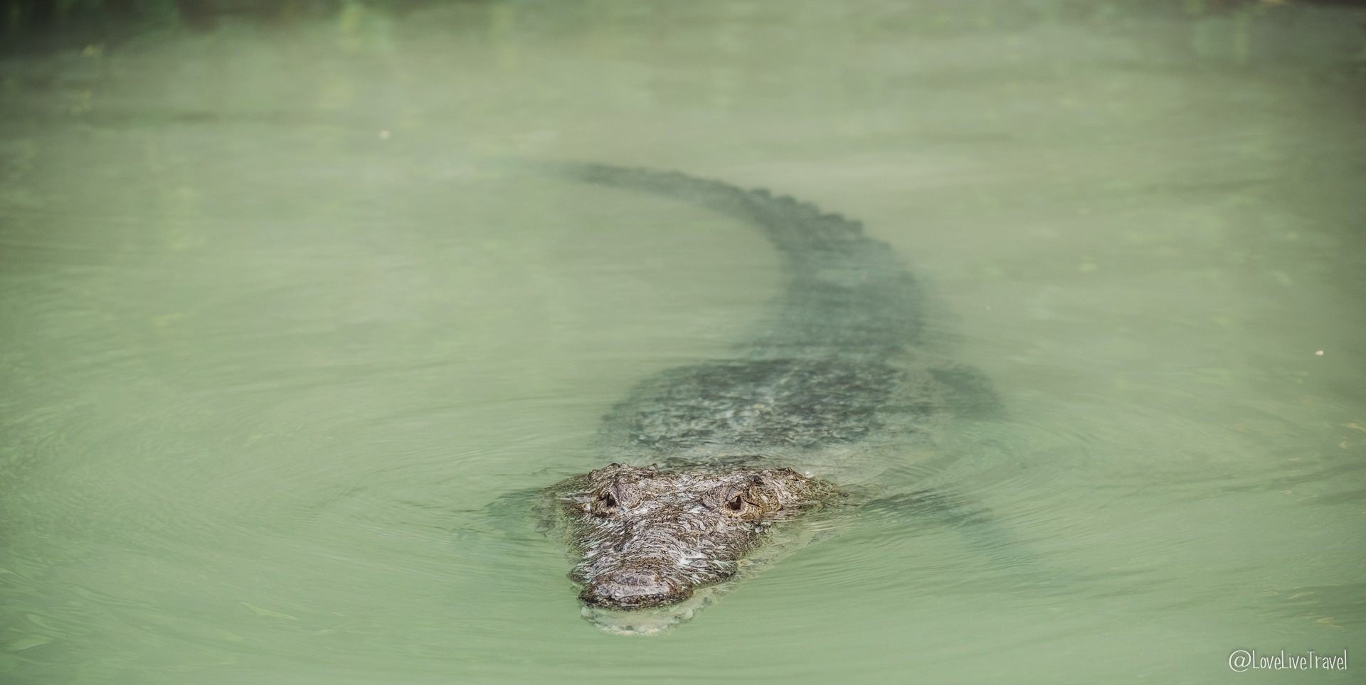 Izamal rio lagartos Chichen Itza mexique blog voyage lovelivetravel