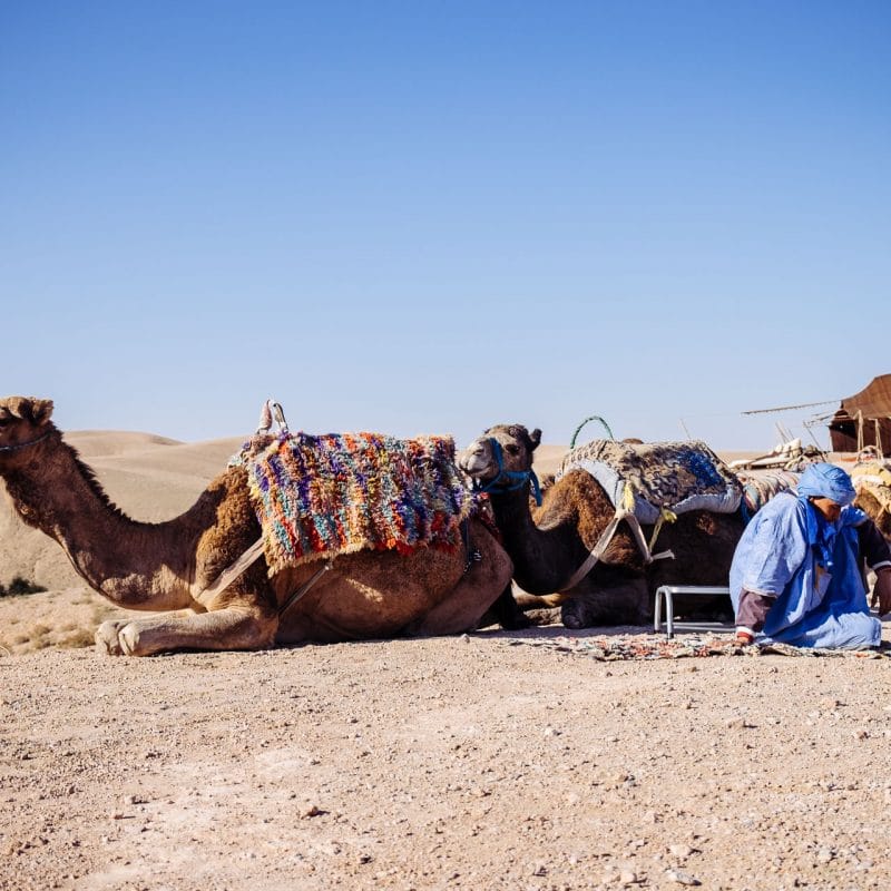 maroc Marrakech, nos 10 adresses incontournables blog voyage lovelivetravel