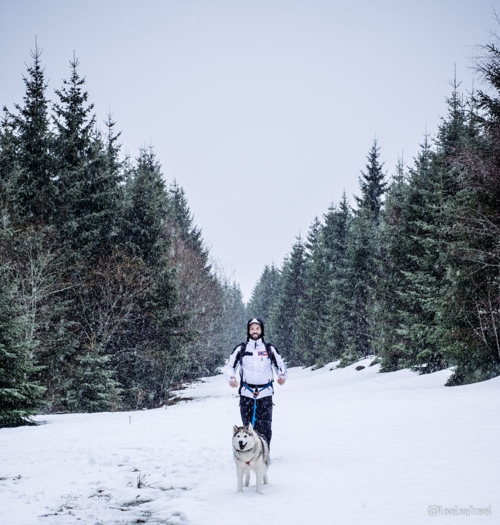 Massif des vosges france ski neige blog voyage lovelivetravel cani-rando