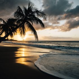 5 choses à voir ou à faire à Pointe-à-Pitre en Guadeloupe