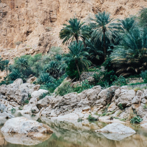 Road trip de 8 jours à Oman blog voyage et lifestyle lovelivetravel